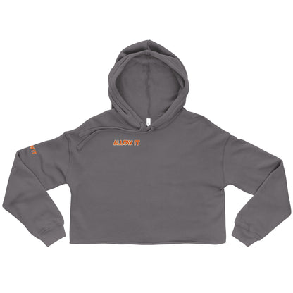 Allow it Crop Hoodie